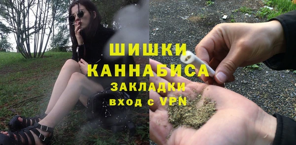 ПСИЛОЦИБИНОВЫЕ ГРИБЫ Балахна