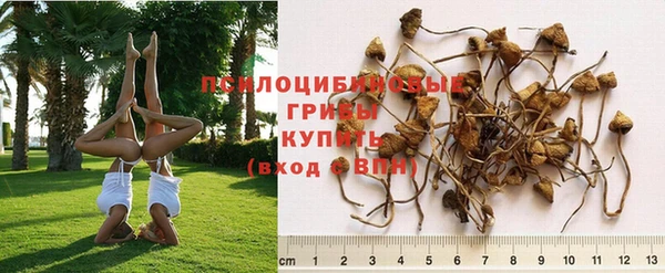 кокаин колумбия Балабаново