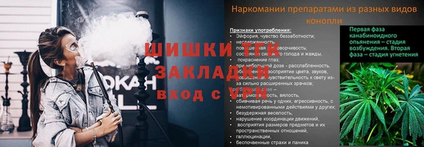 ПСИЛОЦИБИНОВЫЕ ГРИБЫ Балахна