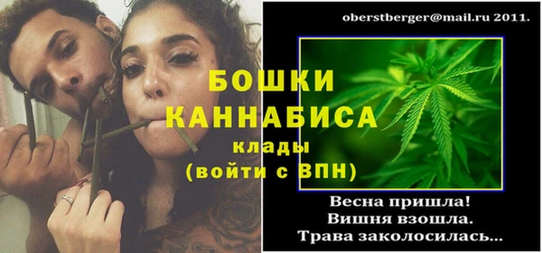 мдпв Надым