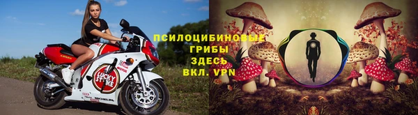 ПСИЛОЦИБИНОВЫЕ ГРИБЫ Балахна