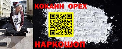 apvp Бийск
