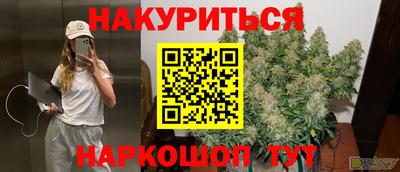 apvp Бийск