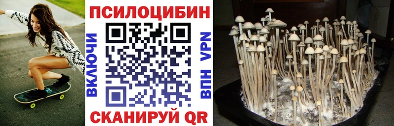 закладки  Ессентуки  darknet официальный сайт  Псилоцибиновые грибы мухоморы 
