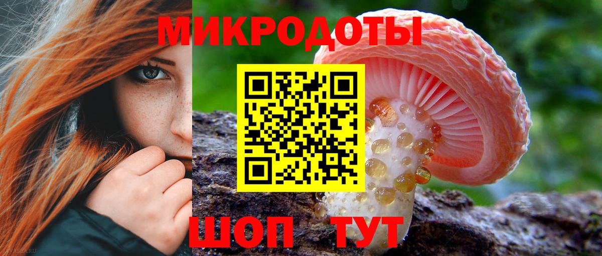 Псилоцибиновые грибы Magic Shrooms  Вход с VPN  Ессентуки  Галлюциногенные грибы мицелий 
